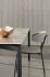 TABLE BONE